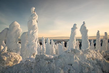 Fotobehang Trees Cover by Snow at Arctic Circle © ZHISHAO