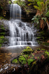 Fototapeta na wymiar Waterfall in the woods of Tasmania, Australia