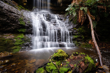 Fototapeta na wymiar Wasserfall im Tasmanischen Wald, Australien