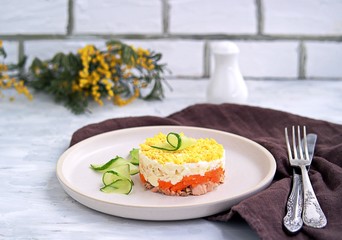 Traditional Russian salad Mimosa with boiled pink salmon, carrots, onions and eggs on a gray concrete background. Served on ceramic plates, decorated with sliced fresh cucumber