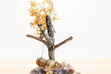 Tree with a swing from a crown cork.