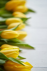 Composition of fresh tulips placed in row on white rustic wooden table