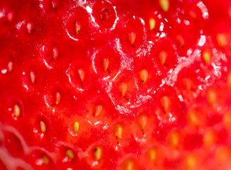 Red berry strawberry isolated on white background