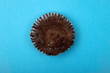 Empty chocolate muffin wrapper on a blue background