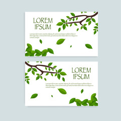 Greeting cards vector template with tree leaf. Vector Illustration EPS 10.
