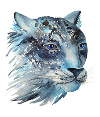 Watercolor snow jaguar  isolated on white background. Hand painted wild animal  illustration. © Iryna