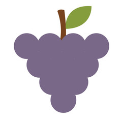 grape color simple illustration