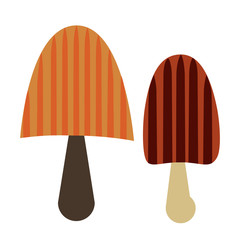 mushroom color simple illustration