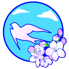 Pink Swallow in a blue sky and the blossom on a  background