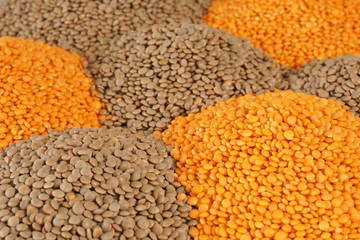 Red and green lentils. Natural organic lentils for healthy food. Lentils background