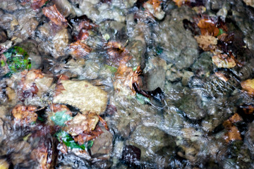 Obraz premium Wet stone pebbles in the river. Pebble and colored pebbles in the water. Stones, Water, Wave, Nature, Pebble, Wet. River water stone