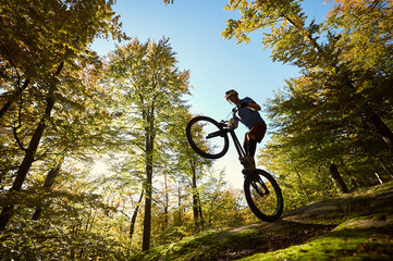 Fototapeta na wymiar Silhouette of athlete cyclist standing on back wheel on trial bicycle. Professional sportsman making acrobatic stunt on the edge of big boulder in the forest on sunny day. Concept of extreme sport