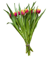 Isolated spring Easter bouquet of tulip flowers on a white background