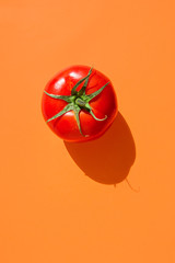 Ripe raw organic tomato on solid mustard orange background. Hard light harsh shadows. Complementary color palette. Balanced diet vegan healthy lifestyle concept. Creative food poster