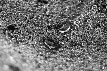 Rain drop spiderwebb