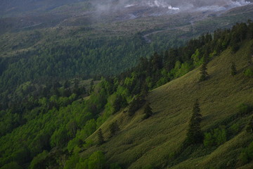 Obraz premium 早朝の群馬県芳ヶ平