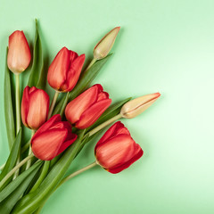 Obraz premium Beautiful red tulips flowers for holiday.