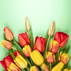 Beautiful red  tulips flowers for holiday.