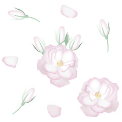 Set of realistic white roses, petals and buds. Decor elements