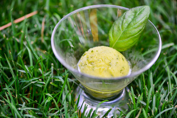 icecream with mint
