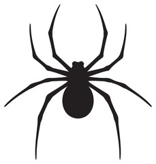 spider icon vector illustration