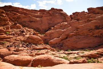 Fototapeta premium desert landscape