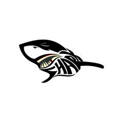 shark typography