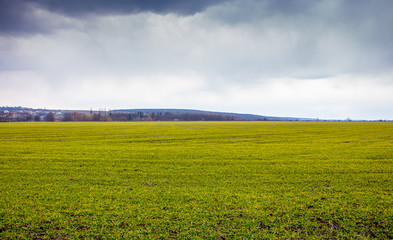Background from green grass and sky. Landscape: Field with green grass and cloudy sky_