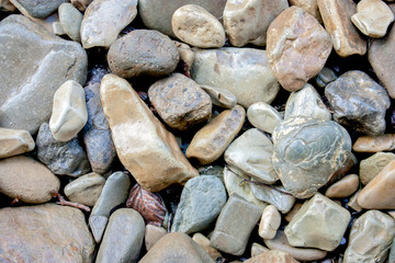 Stone pebbles wet. Smooth stone. Small shingle