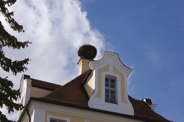 schloss nest storch 
