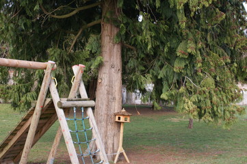 baum holz park vogelhaus 