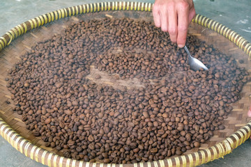 roasted green bean coffee