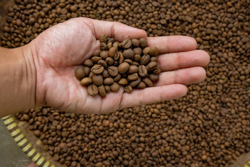 roasted green bean coffee