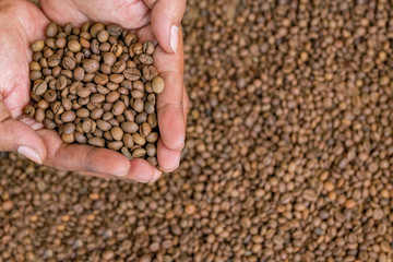 roasted green bean coffee