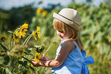 Little girl smelling sunflower flowers.
