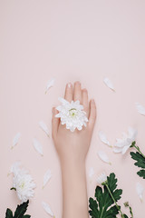 Beautiful female hands with manicure hold a white flower on a pink background, close-up. Creative beauty photo hand girls sitting. Flat lay, top view, copy space.