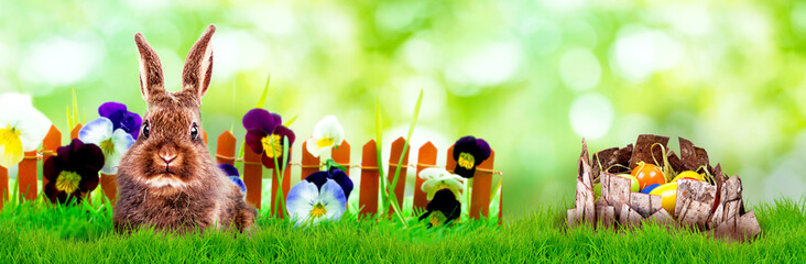 easter card with fresh green