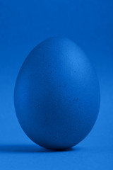 Blue egg on blue background