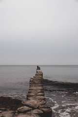 Wellenbrecher, Ostsee, Meer, Nordsee, Wellen, Hintergrund, Natur, Blau, Windig, Sonne, Urlaub, Erholung, Holz