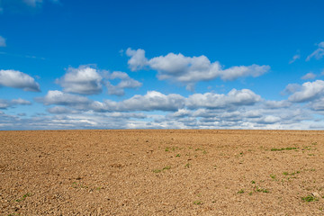 unplanted field with altocumulus clouds