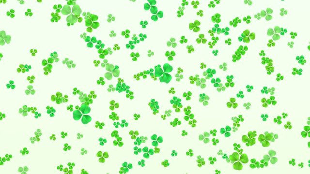 Clover leafs falling for St. Patrick's day background looped.