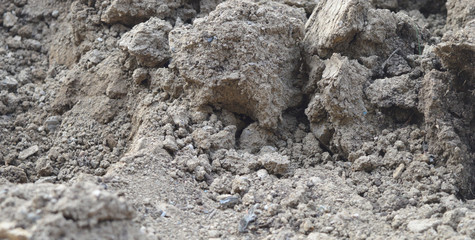 Ground as texture and background