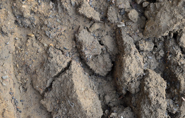 Ground as texture and background