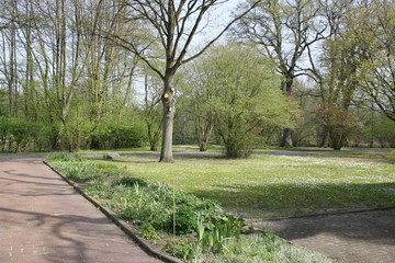 Park mit Bäumen und Rasen