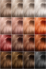 Hair color palette with a wide range of samples. Samples of dyed hair dyes. Hair texture in...