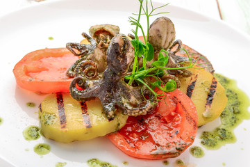 Grilled octopus on a plate.,grilled octopus with grilled vegetables
