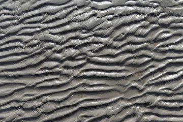 Meeresgrund als Hintergrund