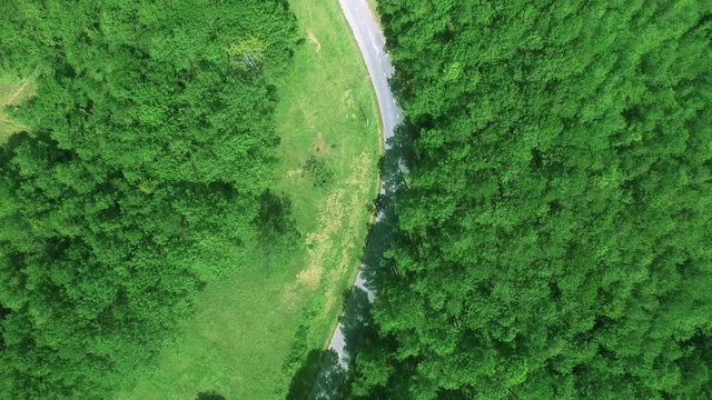 The forest in Da Lat, Lam Dong in ariel view by drone | 4k aerial of flying over a beautiful green forest and highway road in a rural landscape