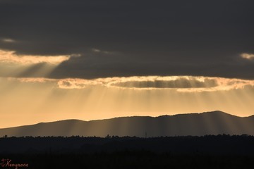 Fototapeta premium Sundown. Nairobi National Park