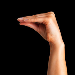 Woman hand showing animal or mouth gesture